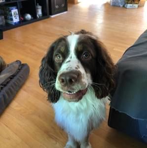 Meet your Posher, Kristine